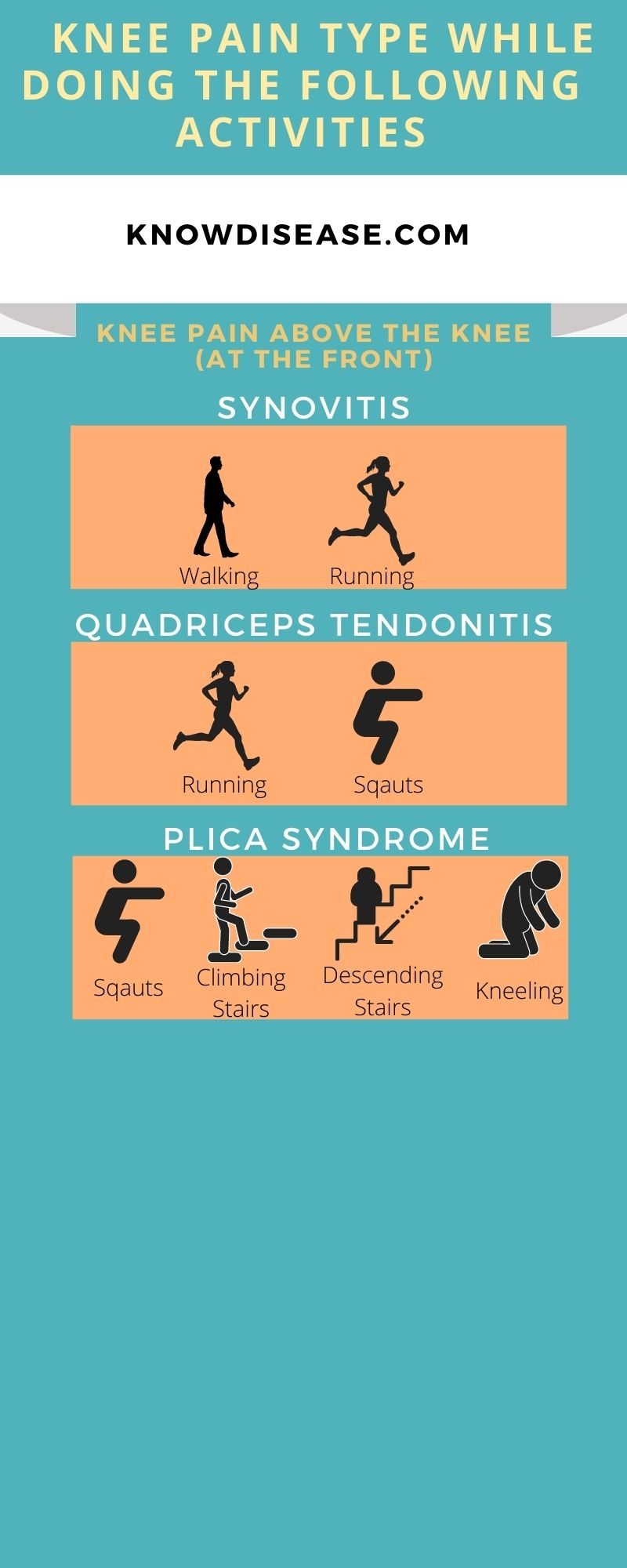 Knee joint anatomy showing genicular nerve locations